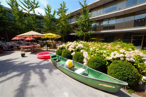 Zomer in Kapittelhof - Lommel