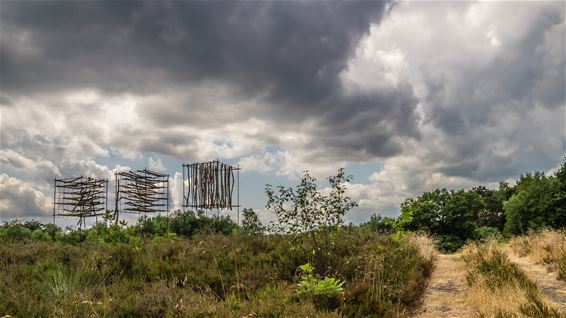 Zomer in 't Plat - Overpelt