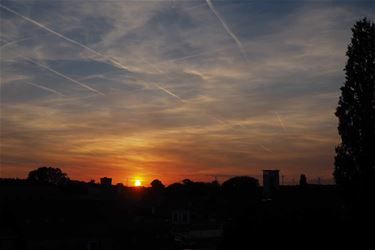 Zomer- of herfstzon? - Beringen