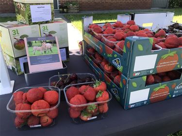 Zomer van de Korte Keten - Beringen