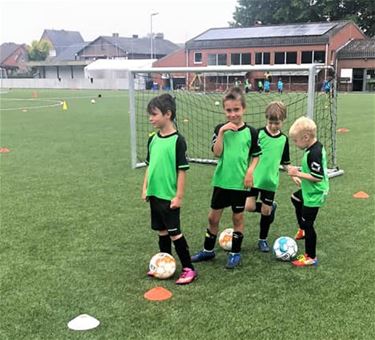 Zomerkamp Eendracht Louwel - Oudsbergen