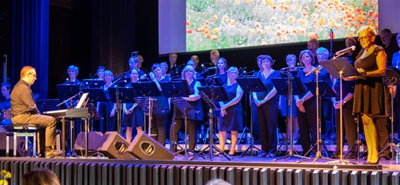 Zomerklanken met Mixed Voices - Beringen