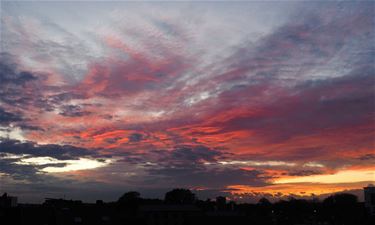 Zomers herfstweer - Beringen & Leopoldsburg