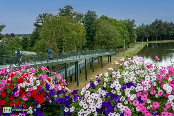 Zomerse dag met ‘bloedmaan’ op komst - Bocholt