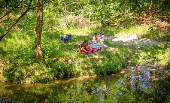 Zomerse foto's op zondag - Lommel