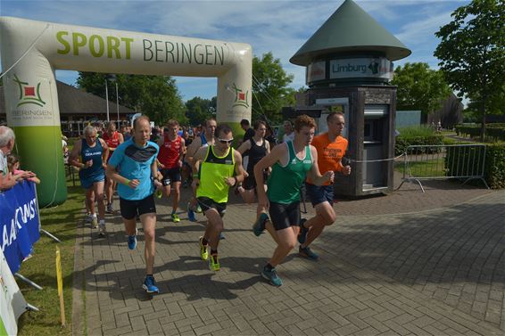 Zomerse Paalse Plasloop - Beringen