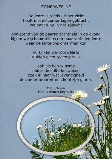 Zomerweelde - Beringen & Leopoldsburg