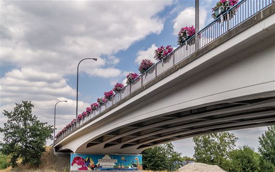 Zomerwolken boven de brug - Neerpelt