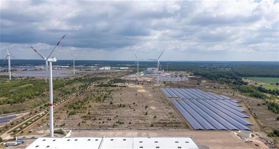 Zon en wind in Lommel: burgemeester heeft gelijk - Lommel