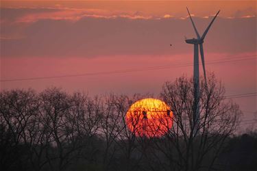 Zon en wind - Beringen