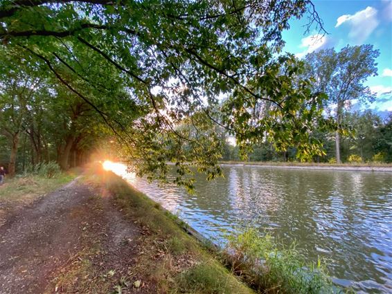 Zon, water, lucht en bomen - Pelt