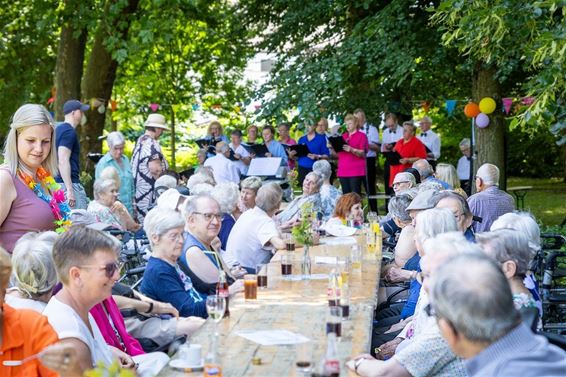 Zon, zang en sfeer in het park - Oudsbergen