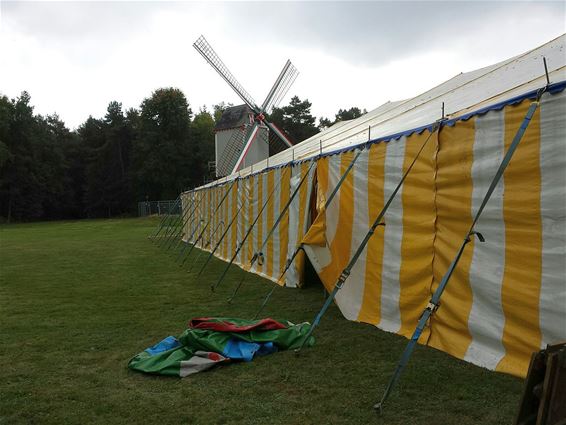 Zondag feest rond '10 jaar Bosland' - Overpelt