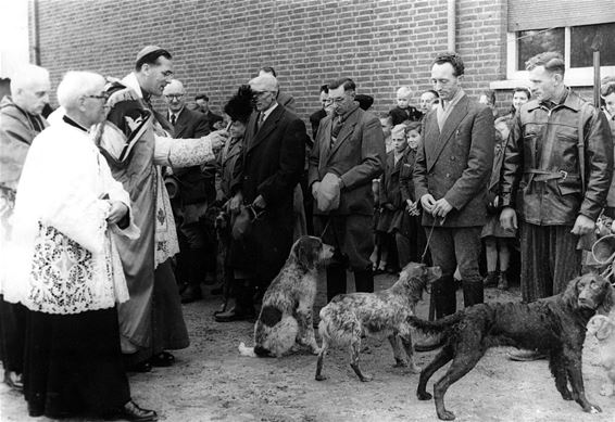 Zondag St.-Hubertusviering in SHLille - Pelt