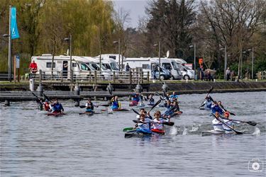 Zondag weer internationale Kempenmarathon - Pelt