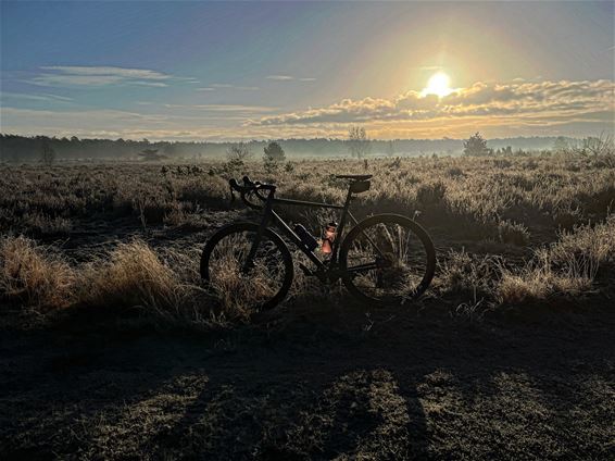 Zondagse natuurfoto's - Lommel