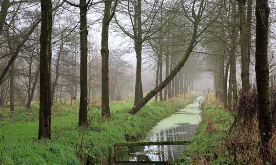 Zonder commentaar - Lommel