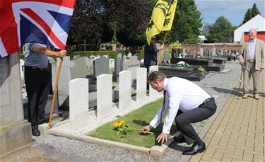 Zonnebloemen voor gesneuvelde Britten - Beringen