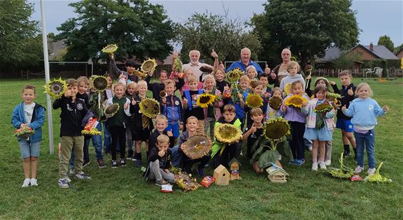 Zonnebloemwedstrijd bij Tuinhier ’t Hent-Lille - Pelt