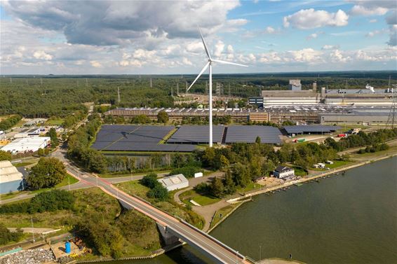 Zonnecoach helpt bedrijven verduurzamen