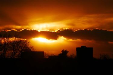 Zonnig en koud - Beringen