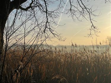 Zonnig winterweer - Beringen & Leopoldsburg