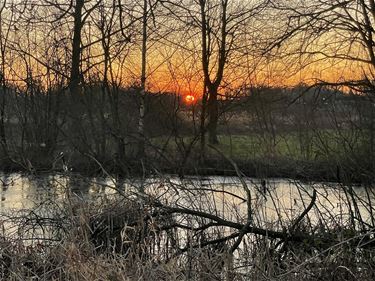 Zonnig winterweer - Beringen