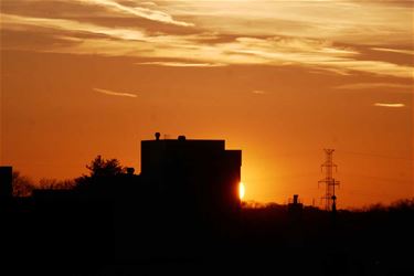 Zonnige dagen - Beringen & Leopoldsburg