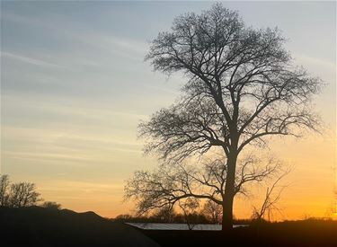 Leopoldsburg - Zonnige paasvakantie