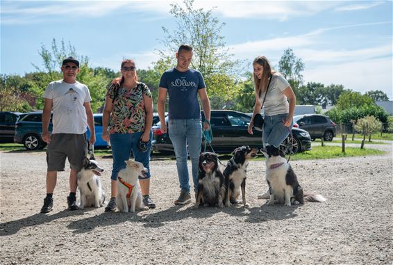Zonnige start Dag van de hond - Beringen
