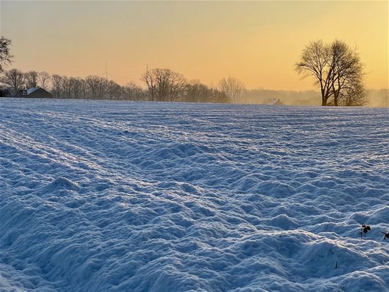 Zonnige winterdag - Beringen