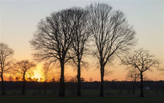 Zonsondergang aan de Loksvaartdijk - Pelt