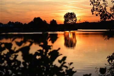 Zonsondergang aan de Paalse Plas - Beringen