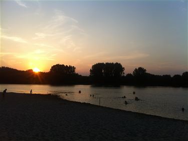 Zonsondergang aan de Paalse Plas - Beringen