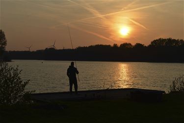 Zonsondergang aan Paalse Plas - Beringen