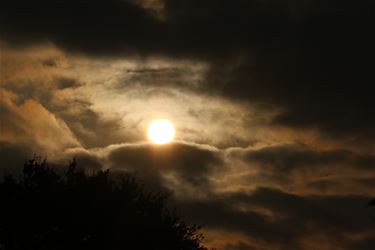 Zonsondergang Beringen - Beringen