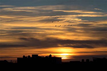 Zonsondergang Beringen - Beringen