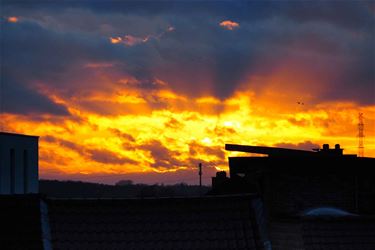 Zonsondergang Beringen - Beringen