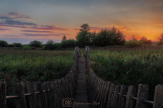 Zonsondergang boven het Hageven - Pelt