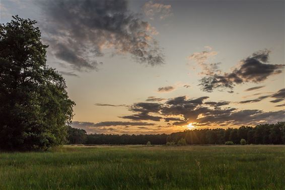 Zonsondergang boven het Hobos - Pelt