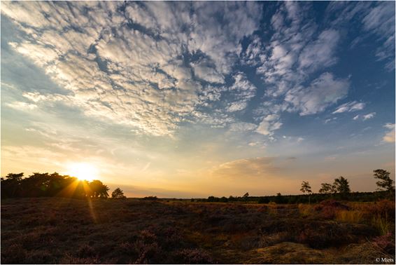 Zonsondergang en late vlinders - Lommel