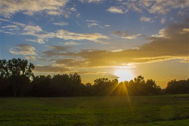 Zonsondergang in Beringen - Beringen