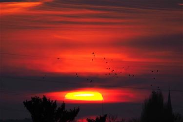 Zonsondergang in Beringen - Beringen