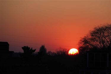 Zonsondergang in Beringen - Beringen