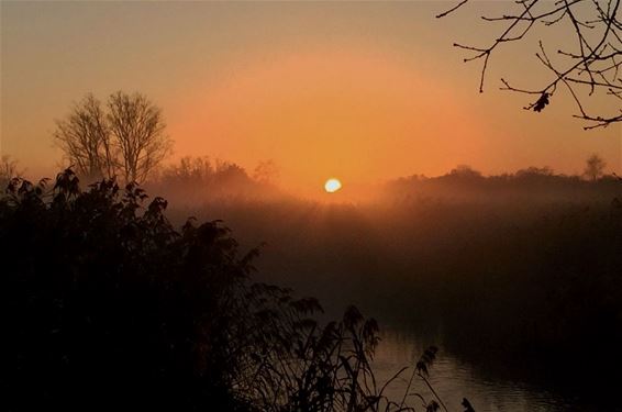 Zonsondergang in het Hageven - Neerpelt