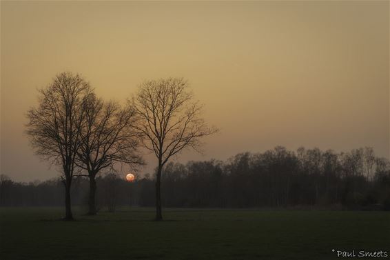 Zonsondergang in het Lindel - Pelt