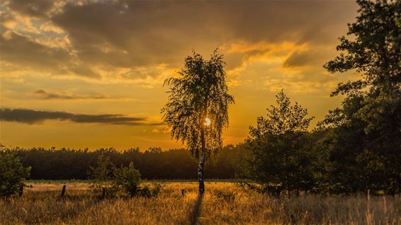 Zonsondergang op het Hobos - Overpelt