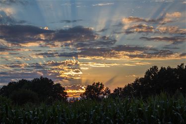 Zonsondergang schittert - Beringen