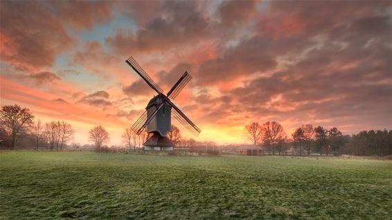 Zonsopgang aan de molen - Lommel