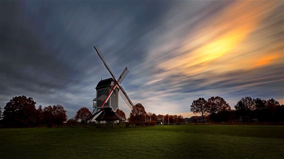 Zonsopgang aan de molen - Lommel